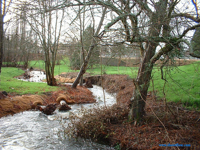 Urban watershed creek restoration.